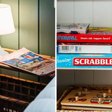 Bl1399-saltum-laustvej-30 Dom wakacyjny